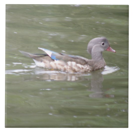 Duck op het meer van de Tile Tegeltje (Voorkant)