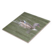 Duck op het meer van de Tile Tegeltje (Zijkant)