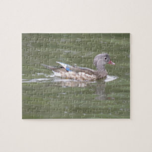 Duck op het meer van Puzzle Legpuzzel