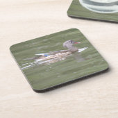Duck op het Onderzetter van het meer van de kurk (Linkerzijde)