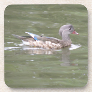 Duck op het Onderzetter van het meer van de kurk