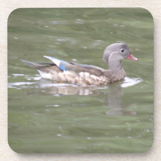 Duck op het Onderzetter van het meer van de kurk (Voorkant)