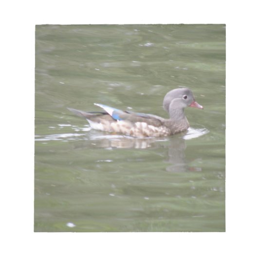 Duck op Lake Notepad Notitieblok (Voorkant)