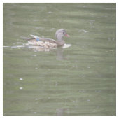 Duck op Lake Patterned Animal Fabric Stof (Close Up)