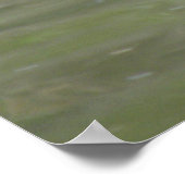 Duck op Lake Print (Hoek)