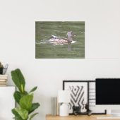 Duck op Lake Print (Thuiskantoor)