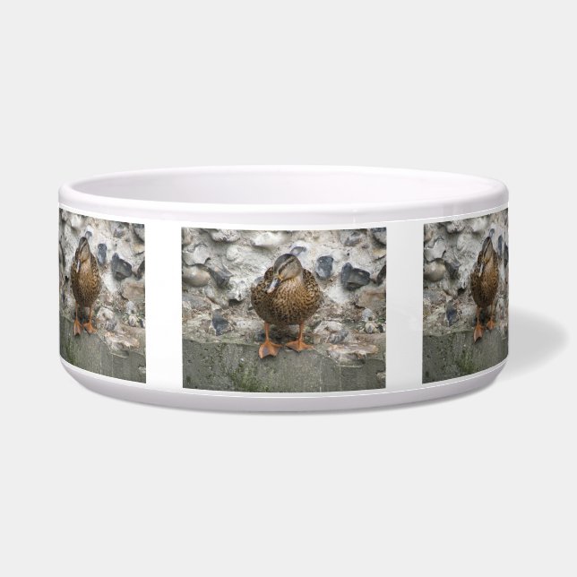 Duck op Wall Pet Bowl Voerbakje (Voorkant)