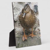 Duck op Wall Plaque Fotoplaat (Zijkant)
