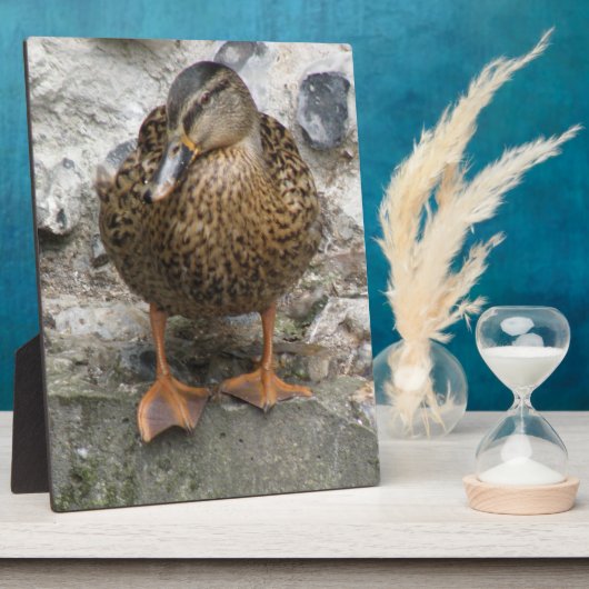 Duck op Wall Plaque Fotoplaat (Zijkant)