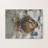 Duck op Wall Puzzle Legpuzzel (Horizontaal)