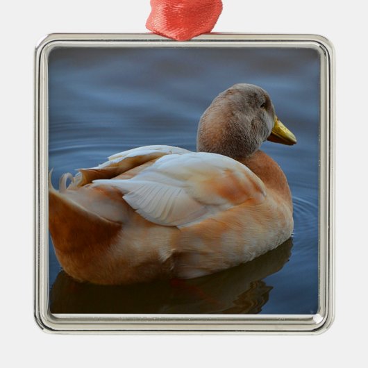 Duck Ornament (Voorkant)