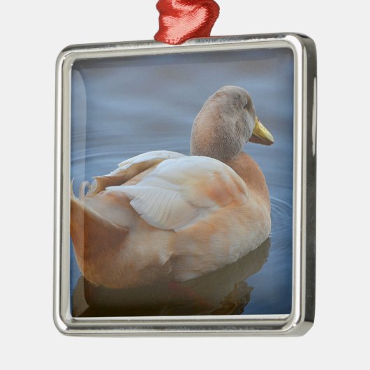 Duck Ornament (Links)