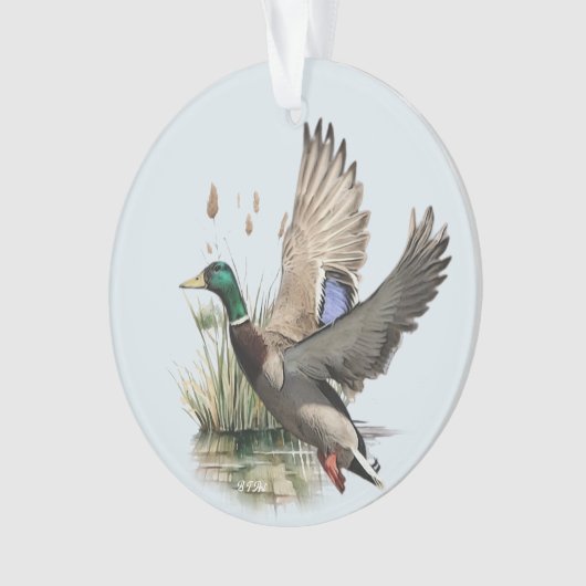 Duck Ornament (voorkant)