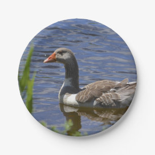 Duck Paper-Bord Papieren Bordje