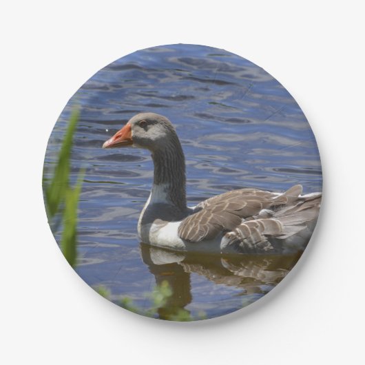 Duck Paper-Bord Papieren Bordje (Voorkant)