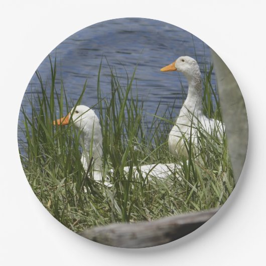 Duck Paper-Bord Papieren Bordje (Voorkant)