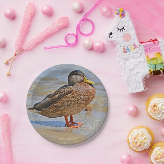 Duck Paper-Bord Papieren Bordje (Feest)
