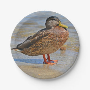 Duck Paper-Bord Papieren Bordje