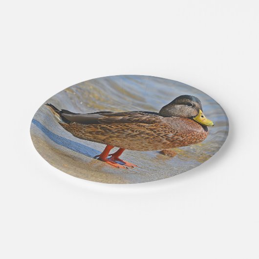 Duck Paper-Bord Papieren Bordje (Gekanteld)