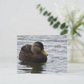 Duck Photo-Briefkaart Briefkaart (Staand voorkant)