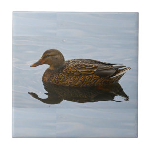 Duck Photo Ceramic Tile Tegeltje