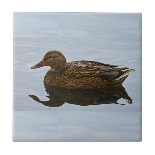 Duck Photo Ceramic Tile Tegeltje (Voorkant)