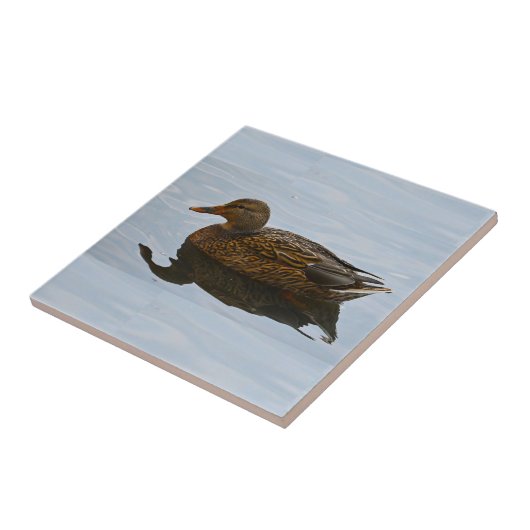 Duck Photo Ceramic Tile Tegeltje (Zijkant)