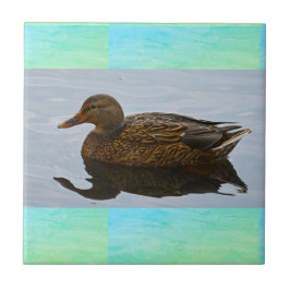 Duck Photo Ceramic Tile Tegeltje