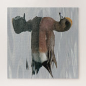 Duck Photo Male Wigeon on Calm Water Reflection Legpuzzel (Horizontaal)
