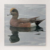 Duck Photo Male Wigeon on Calm Water Reflection Legpuzzel (Verticaal)