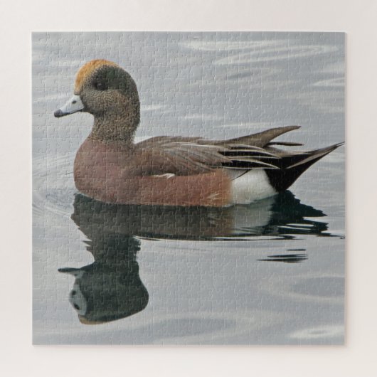 Duck Photo Male Wigeon on Calm Water Reflection Legpuzzel (Verticaal)
