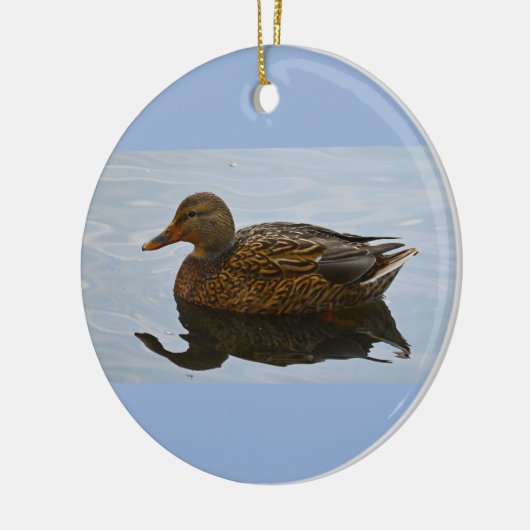 Duck Photo Ornament (Links)