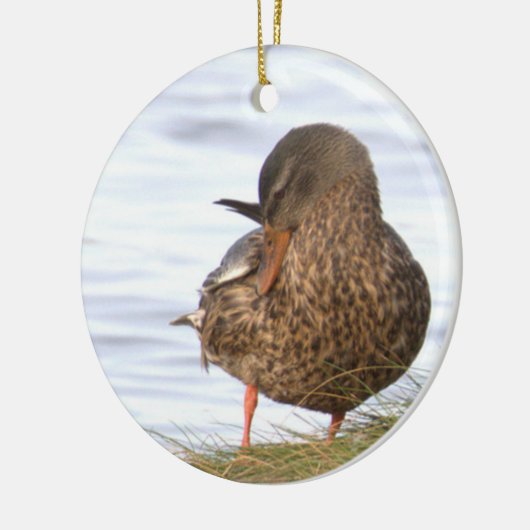 Duck Photo Ornament (Links)
