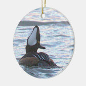 Duck Photo Ornament (Links)