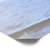 Duck Photo Poster (Hoek)