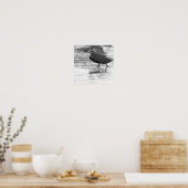 Duck Photo Poster (Keuken)