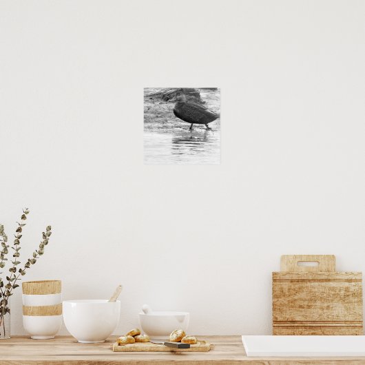 Duck Photo Poster (Keuken)