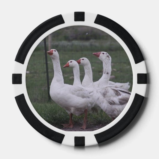 Duck Poker Chips (Voorkant)
