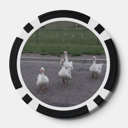 Duck Poker Chips (Achterkant)