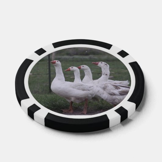 Duck Poker Chips (Enkel)