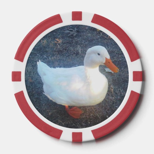 Duck Poker Chips (Voorkant)