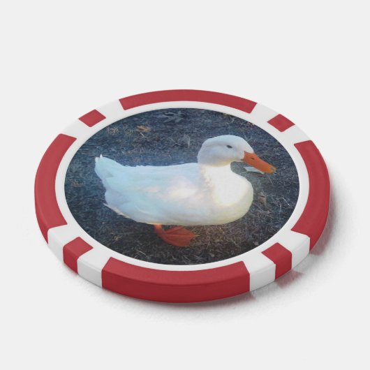 Duck Poker Chips (Enkel)