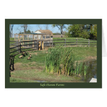 Duck Pond bij Safe Haven Boerderijen