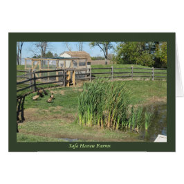 Duck Pond bij Safe Haven Boerderijen