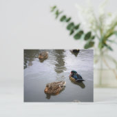 Duck Pond Briefkaart (Staand voorkant)