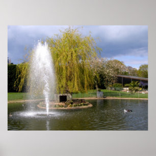 Duck pond in lente poster