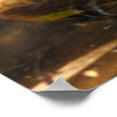 Duck Pond Poster (Hoek)