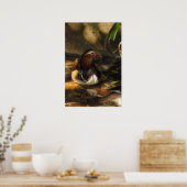 Duck Pond Poster (Keuken)