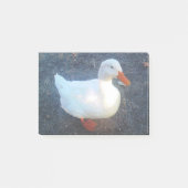 Duck Post-it® Notes (Voorkant)