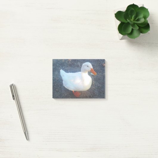 Duck Post-it® Notes (Kantoor)
